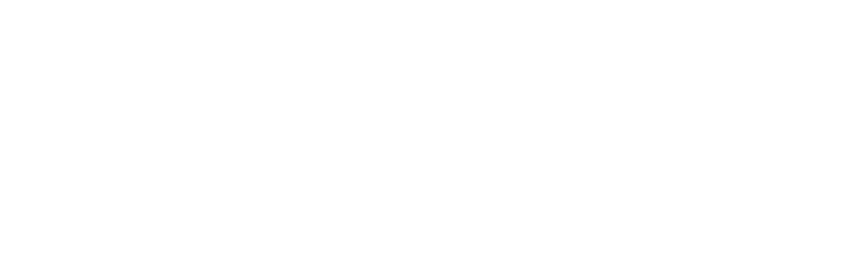 Insikt